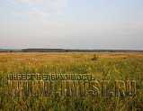 Заливные луга 46.4 га, Рязанская обл., Шиловский р-н