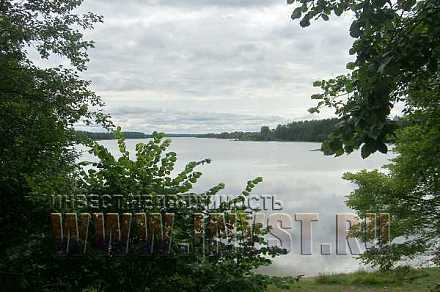 Участок у большого озера в Молдино 12.7 га