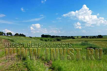 Земля сельхозназначения в деревне Верхняя Пурловка 24 га