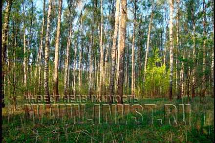 Бывший пионер лагерь у реки, 11 га, г. Домодедово, мкр. Белые Столбы