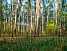 Бывший пионер лагерь у реки, 11 га, г. Домодедово, мкр. Белые Столбы