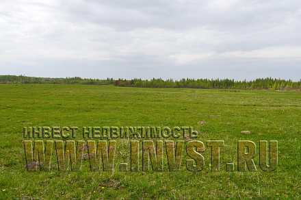 Земля сельхозназначения в городе Белый 21.6 га