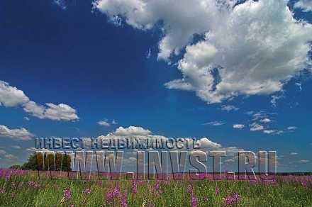 Земля сельхозназначения в деревне Сидорово 137.6 га