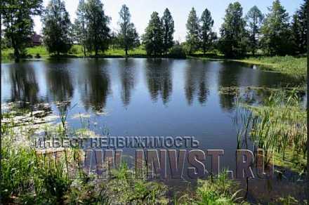Земля под дачный поселок 3 га, Дмитровский р-н, д. Парамоново