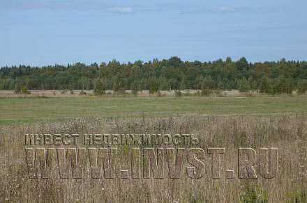 Земля сельхозназначения в деревне Андреевка 7,9 га