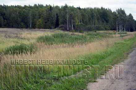 Земля сельхозназначения в деревне Каменка, 4 га