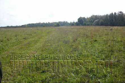 Земля сельхозназначения в деревне Бор-Волго 13 га