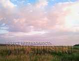 Земля сельхозназначения 257 Га, Тюнеж