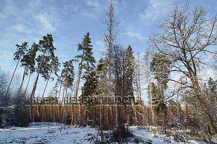 Участок 1 га на берегу р. Москва, Рузский район, д. Старая Руза