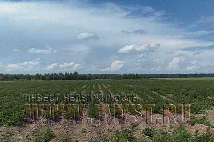 Участок 5.6 га под сельскохозяйственное производство, Шаховской р-н, д. Плоское