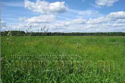 Земля промназначения в деревне Алабино 1.63 Га