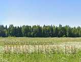 41.9 га сельскохозяйственного назначения, мун. округ Дмитровский, д. Ивлево