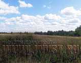 Земля сельхозназначения в Ясногорском районе, 14 га