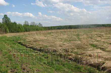 Земля сельхозназначения в деревне Золотово 1.75 га