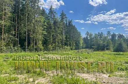 Участок под коттеджное строительство 5 га, Владимирская обл., п. Сушнево  