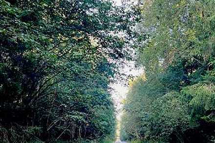 Участок 12 га со строениями под базу отдыха, Клин г.о., д. Иевлево