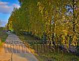Участок под производство, 4,5 Га, Одинцовский г.о., Малые Вяземы