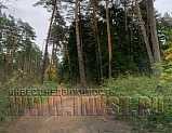 8 га под туризм, г.о. Богородский, г. Ногинск