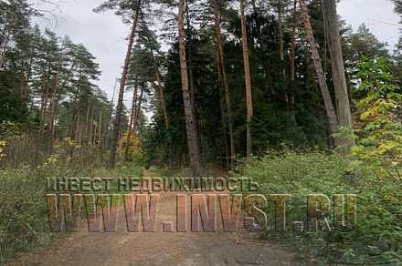 8 га под туризм, г.о. Богородский, г. Ногинск
