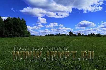 Земля сельхозназначения в деревне Шепелево 47.6 га