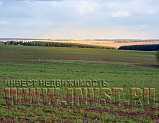 Земля сельхозназначения 93.61 Га, Владимирская область, Шихобалово