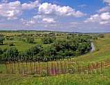 16.78 га на берегу реки, Тульсккая обл., р-н Богородицкий, село Папоротка