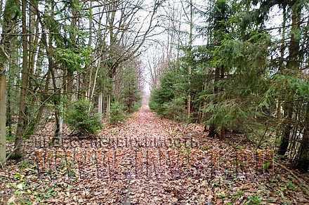 Земля 6 га под базу отдыха, Серпухов г.о., д. Арнеево