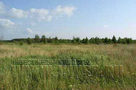Земля сельхозназначения в деревне Нижнее Хорошово, 10 га
