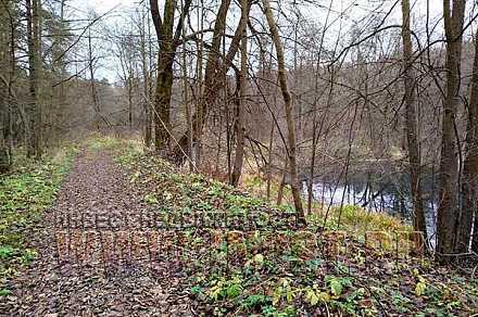 Земля 6 га под базу отдыха, Серпухов г.о., д. Арнеево