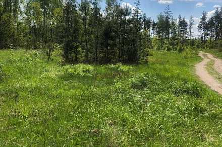 Участок сх3, 5 га, Павлово-Посадский р-н, д. Грибаново