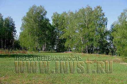 Земля 150 га на берегу р. Ока, Рязанская обл., с. Тырново