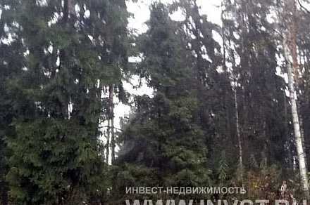 Земельный участок в КП "Балтия" 38 соток