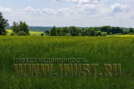 Земля сельхозназначения в деревне Топканово 8 га
