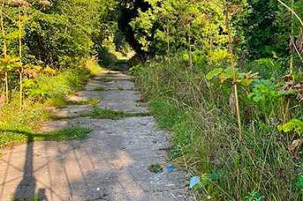 Участок 12 га со строениями под базу отдыха, Клин г.о., д. Иевлево