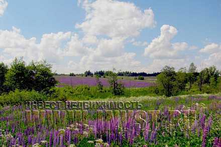 Земельный участок у леса 3.7 Га, Троицкое