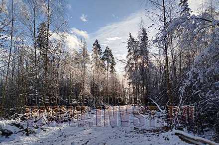 Участок 1 га на берегу р. Москва, Рузский район, д. Старая Руза