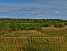 16.71 га сельхозназначения, мун. округ Шаховская, д. Новиково