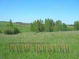 Участок СХ 10.7 га, Тульская обл., р-н Веневский, с. Щучье