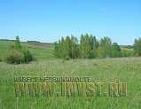 Участок СХ 10.7 га, Тульская обл., р-н Веневский, с. Щучье