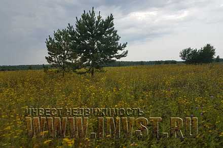 Большой участок земли СХ 1000 Га, Владимирской обл, Галкино